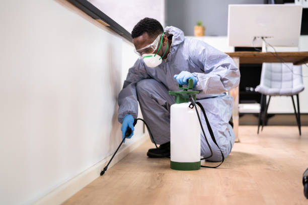 Emergency Pest Control Services in Carolina Shores, NC